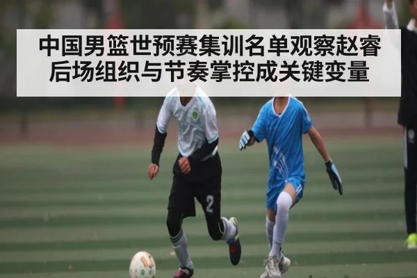 中国男篮世预赛集训名单观察赵睿后场组织与节奏掌控成关键变量